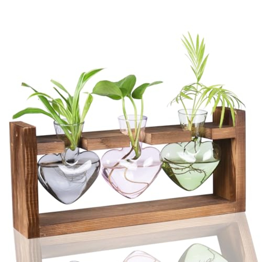 3-Heart Plant Terrarium Kit -  - Propagation Station Vase recensione e prezzo
