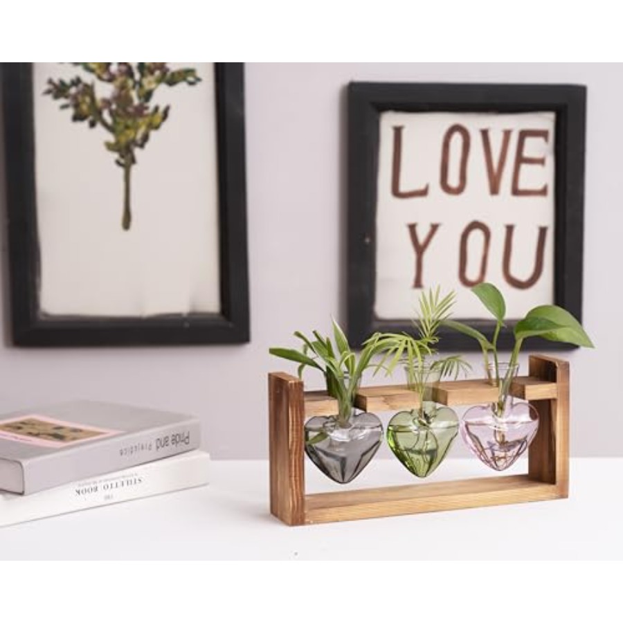 3-Heart Plant Terrarium Kit -  - Propagation Station Vase recensione e prezzo