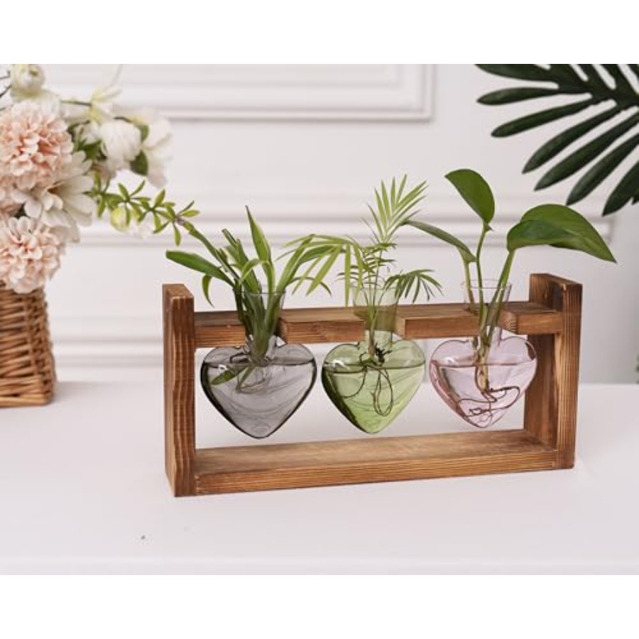 3-Heart Plant Terrarium Kit -  - Propagation Station Vase recensione e prezzo