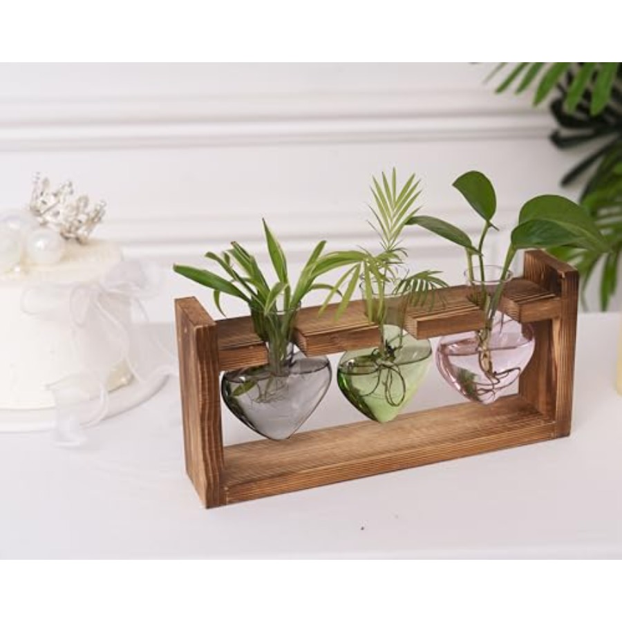 3-Heart Plant Terrarium Kit -  - Propagation Station Vase recensione e prezzo