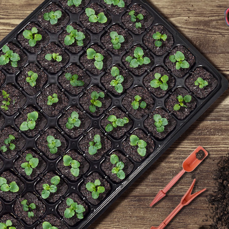 ABGH-10 Pack Seed Starter Tray - Propagation Tray 72 recensione e prezzo