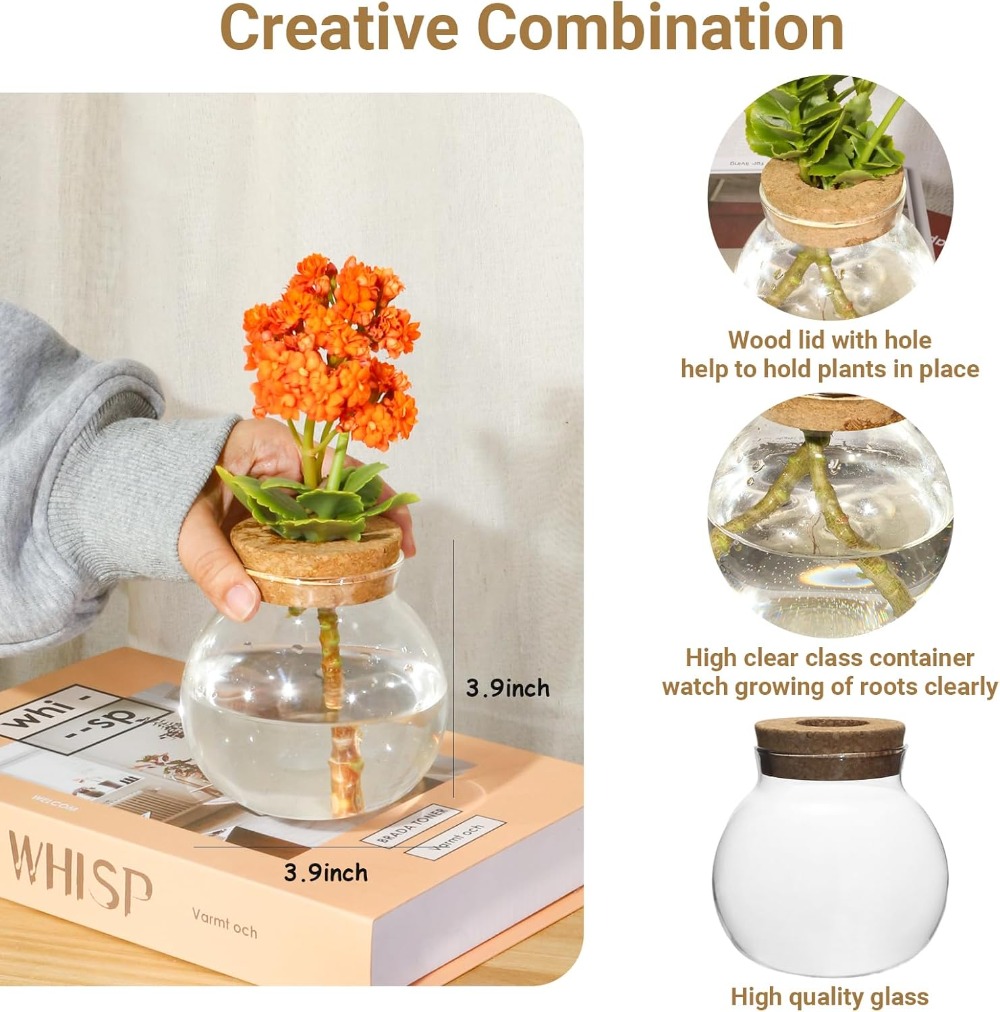 Hydroponic Plant Propagation S - Propagation Station Vase recensione e prezzo