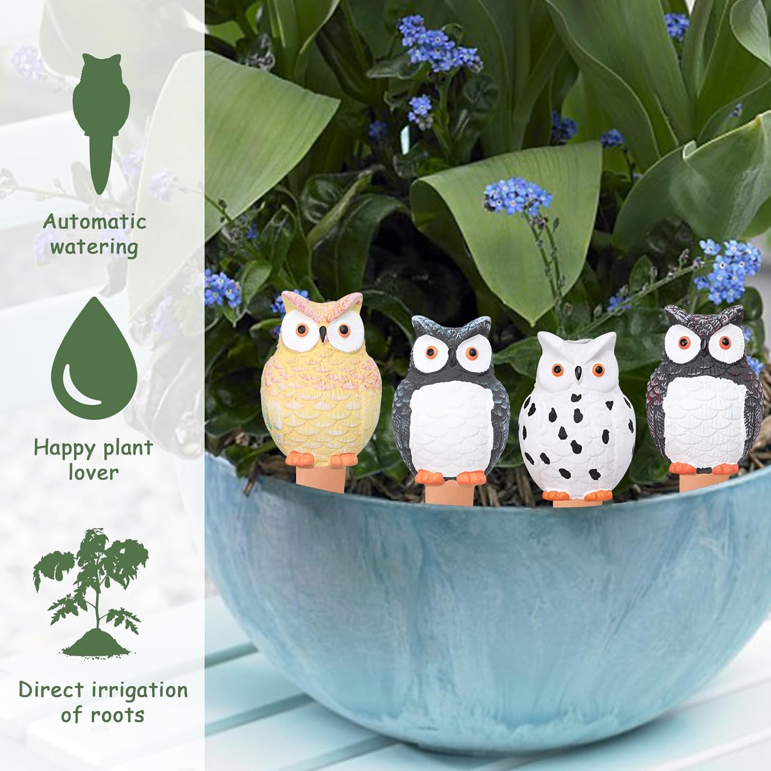 Self Plant Watering Globes Ter - Self Watering Insert recensione e prezzo