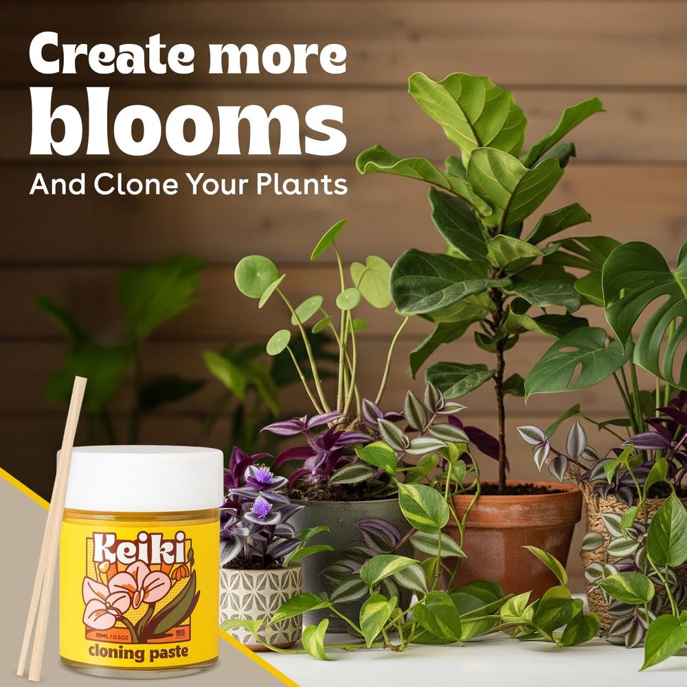 Paste or Plants to Clone & Cre - Rooting Gel Clone recensione e prezzo
