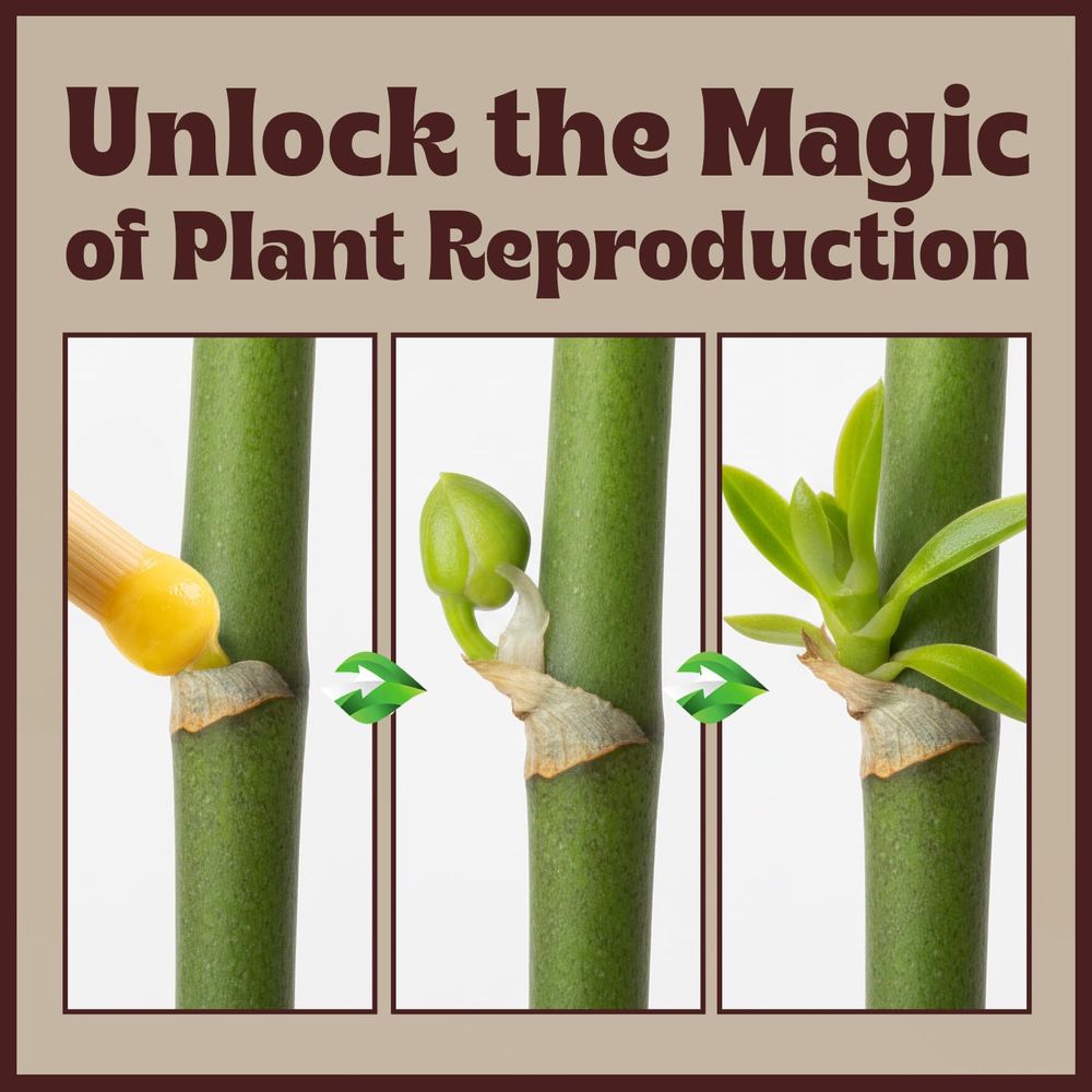 Paste or Plants to Clone & Cre - Rooting Gel Clone recensione e prezzo