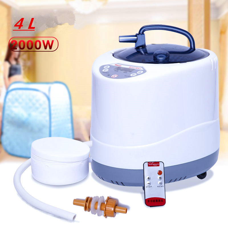 Steam Generator 220V/110V  EU  - Self Watering Insert recensione e prezzo
