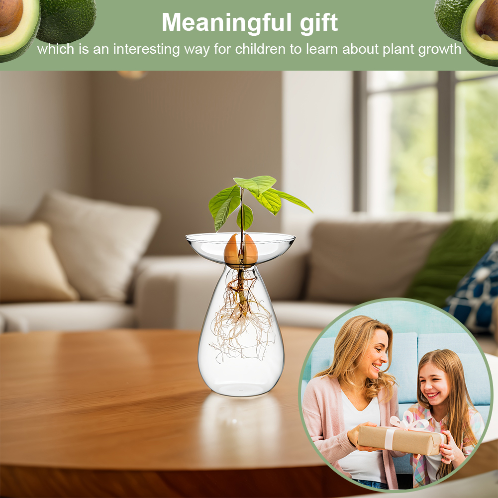 Avocado Seed Starter Vase Tran - Propagation Station Vase recensione e prezzo