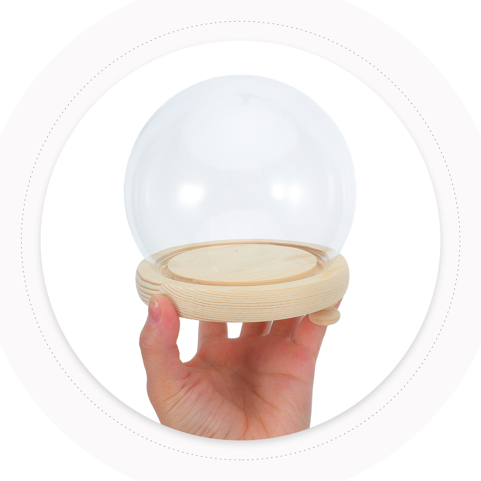 Preserved Flower Glass Dome El - Plastic Dome Clear recensione e prezzo