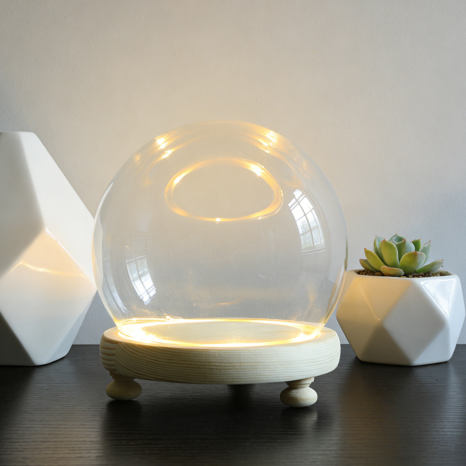 Preserved Flower Glass Dome El - Plastic Dome Clear recensione e prezzo