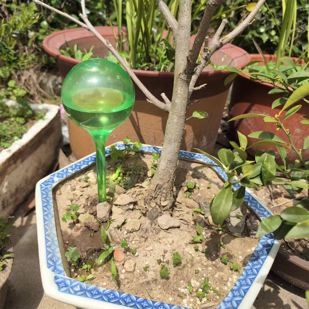 Automatic Plant Watering Bulbs - Self Watering Insert recensione e prezzo