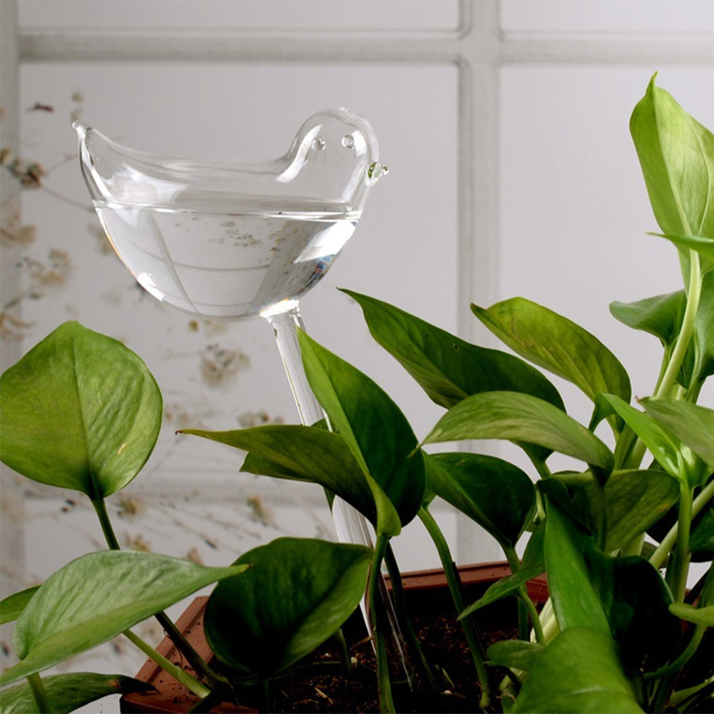 Automatic Plant Watering Bulbs - Self Watering Insert recensione e prezzo