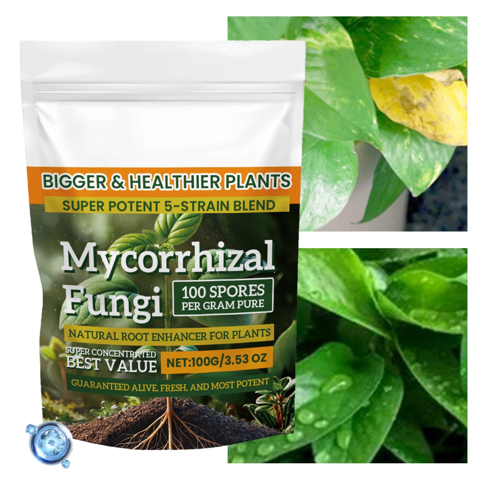 Plant Growth Enhancer Powder 1 - Rooting Hormone Powder recensione e prezzo