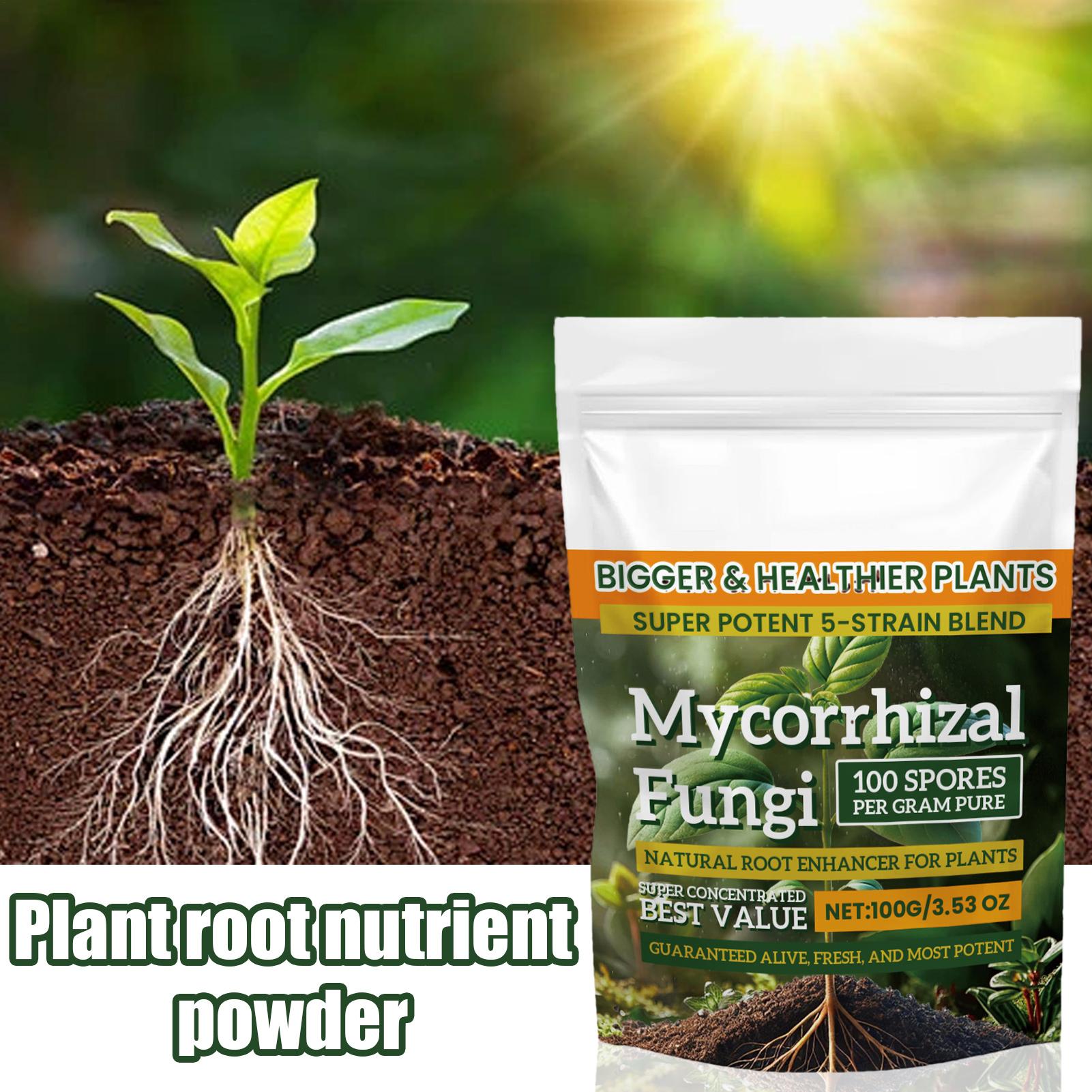 Plant Growth Enhancer Powder 1 - Rooting Hormone Powder recensione e prezzo