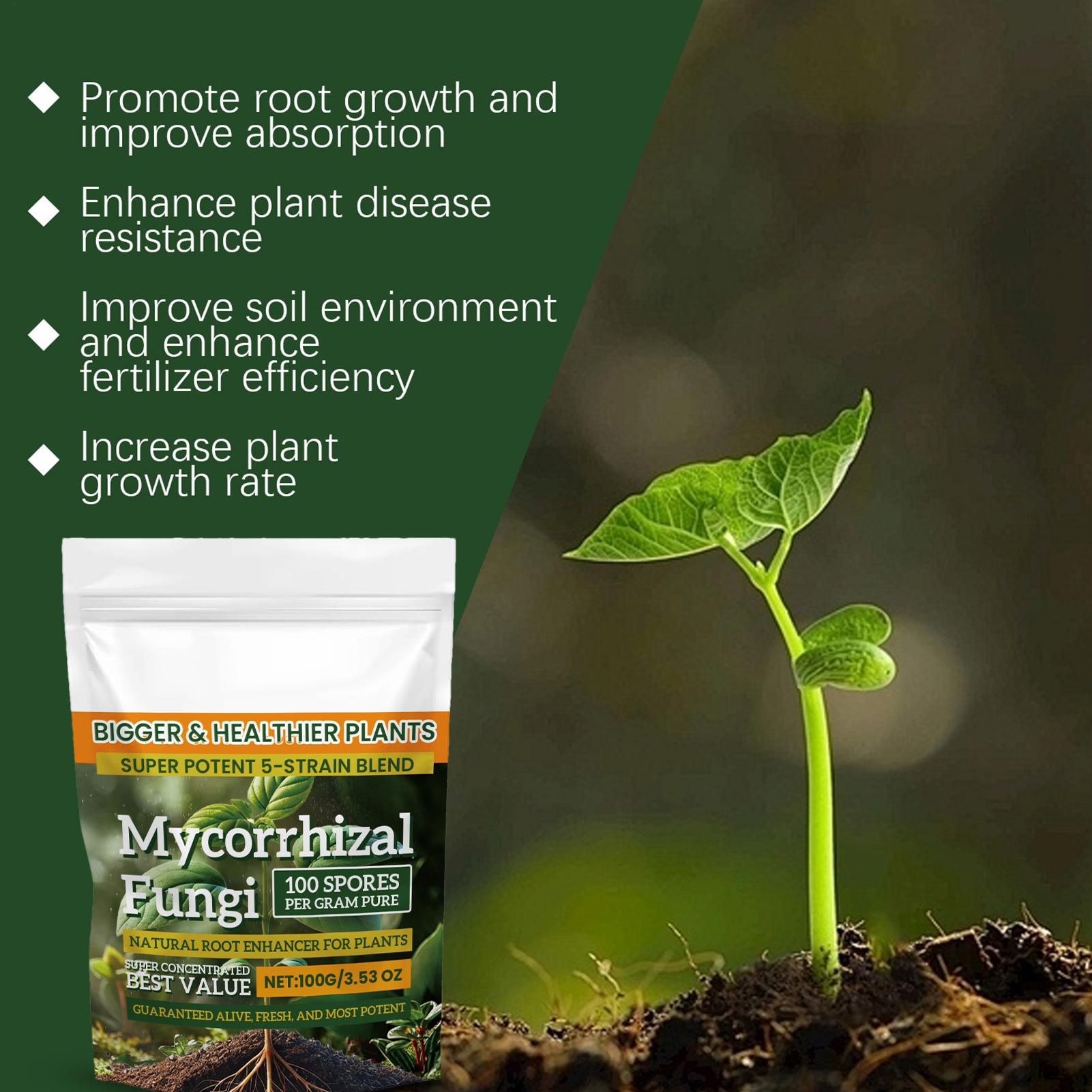 Plant Growth Enhancer Powder 1 - Rooting Hormone Powder recensione e prezzo