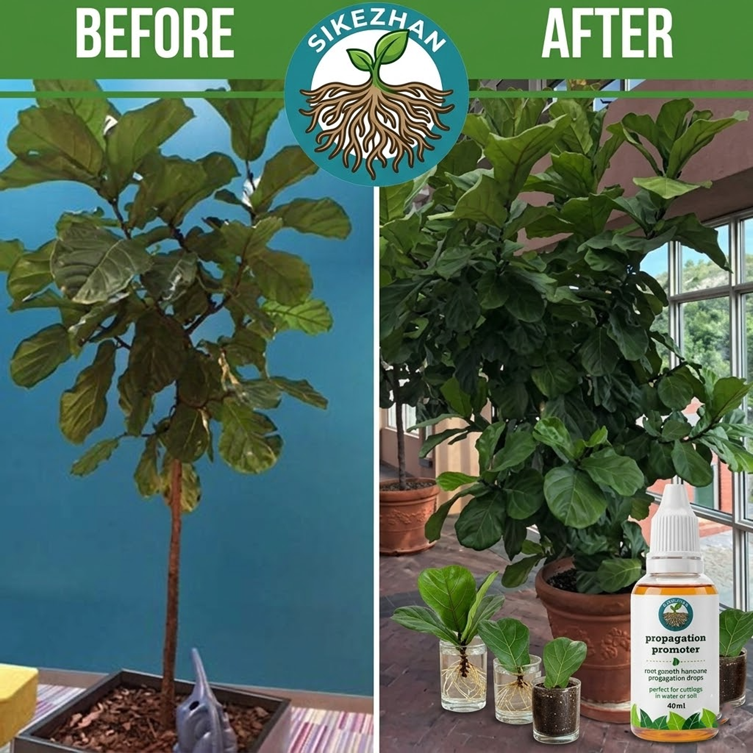 40ml Fast Plant Rooting Liquid - Root Stimulator Liquid recensione e prezzo