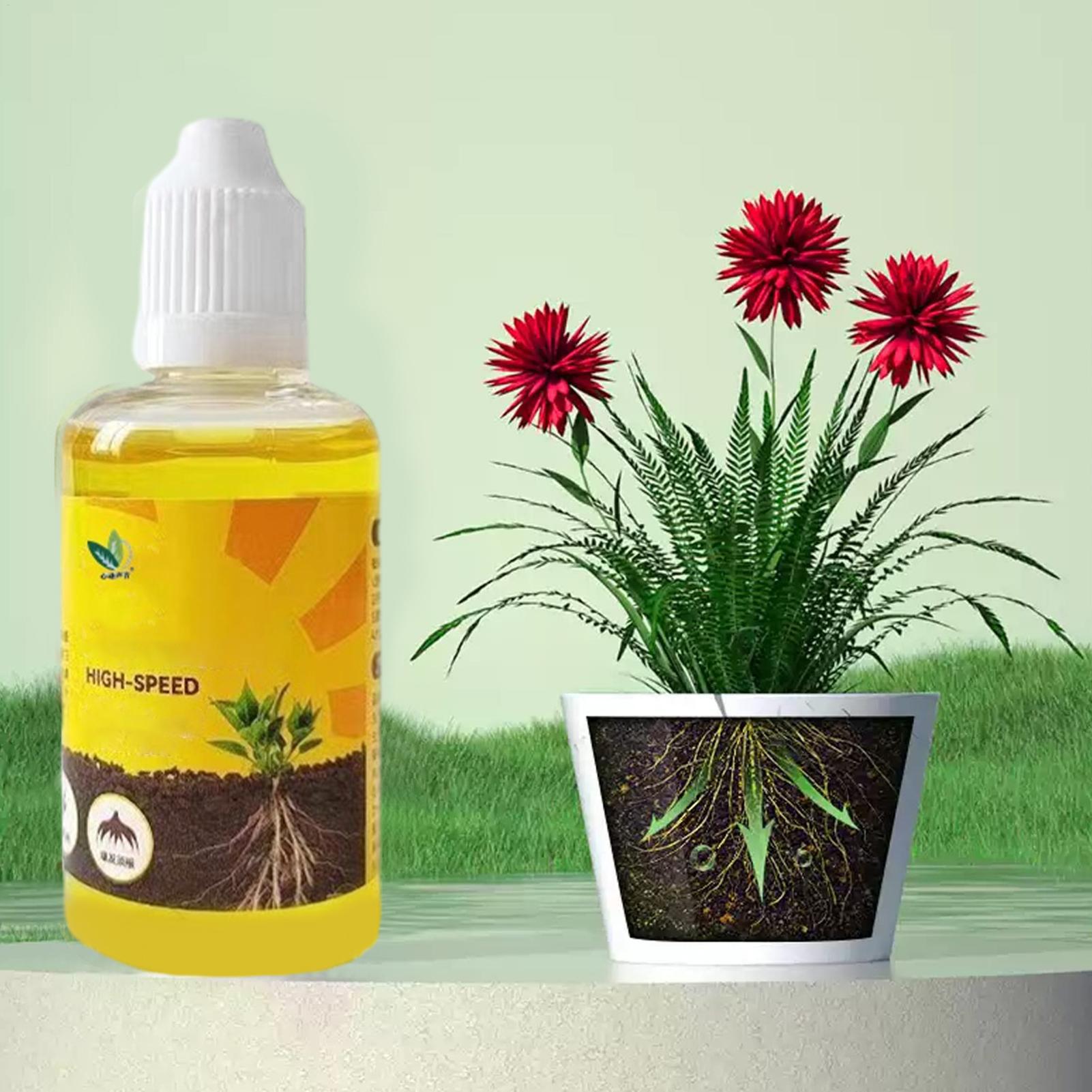 Plant Rapid Rooting Solution 5 - Root Stimulator Liquid recensione e prezzo