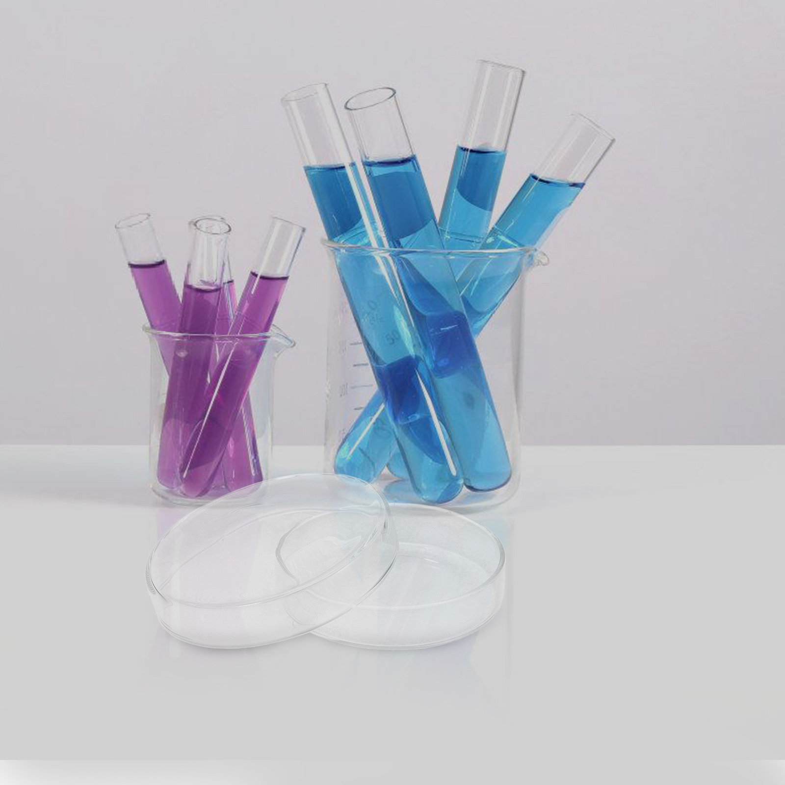 Glass Petri Dish High Borosili - Agar Tissue Culture recensione e prezzo