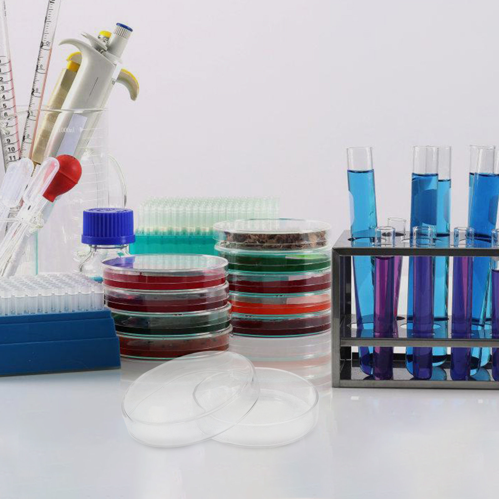 Glass Petri Dish High Borosili - Agar Tissue Culture recensione e prezzo