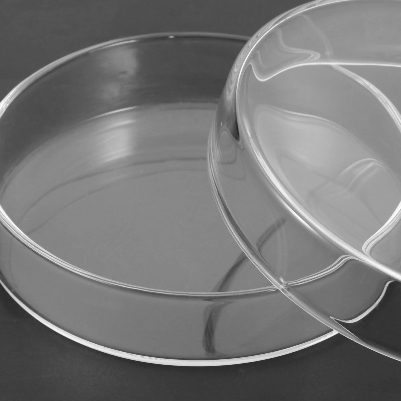 Glass Petri Dish High Borosili - Agar Tissue Culture recensione e prezzo