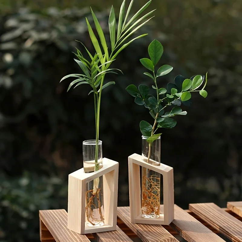 Test Tube Glass Vase Plant Pro - Propagation Station Vase recensione e prezzo