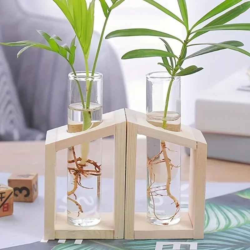Test Tube Glass Vase Plant Pro - Propagation Station Vase recensione e prezzo