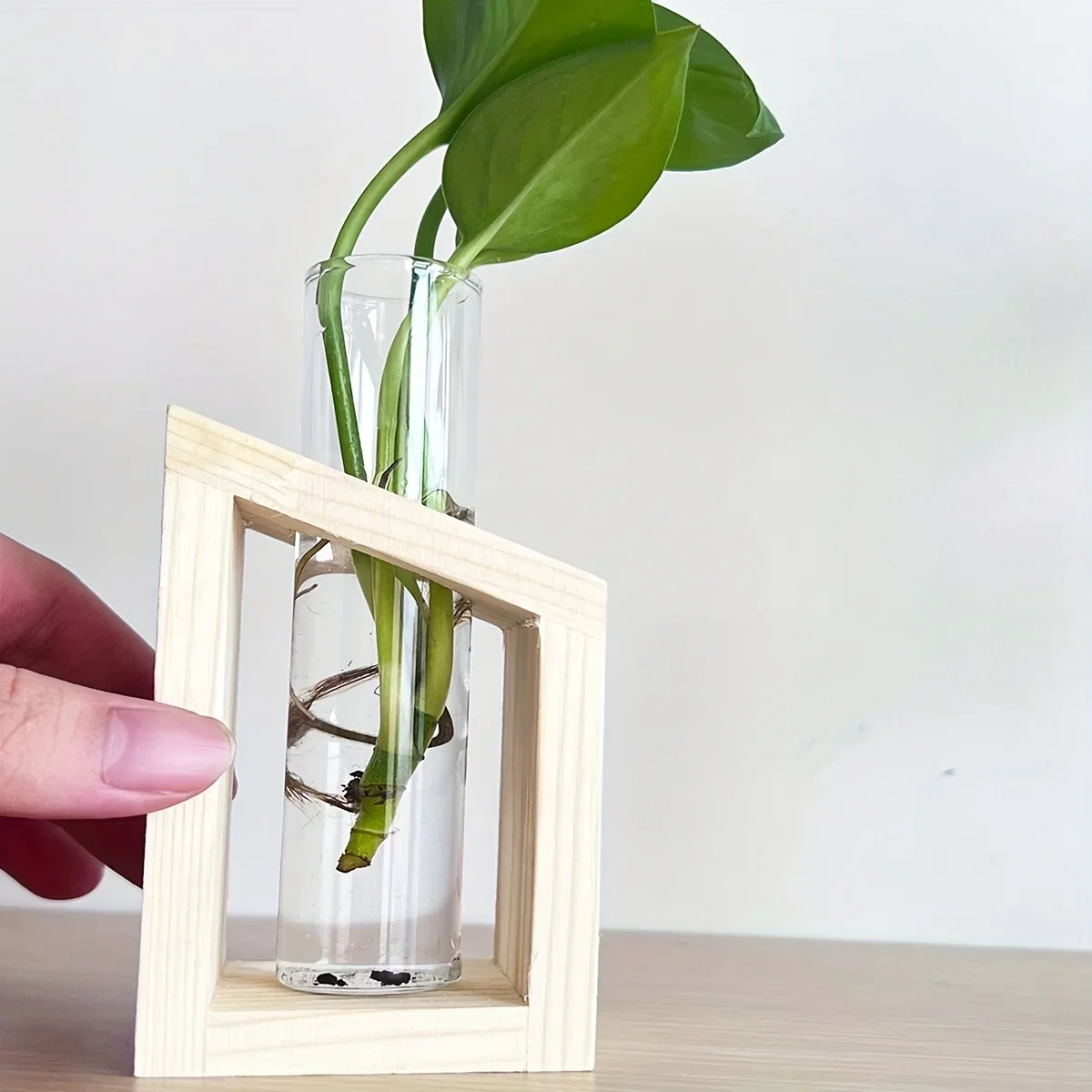 Test Tube Glass Vase Plant Pro - Propagation Station Vase recensione e prezzo
