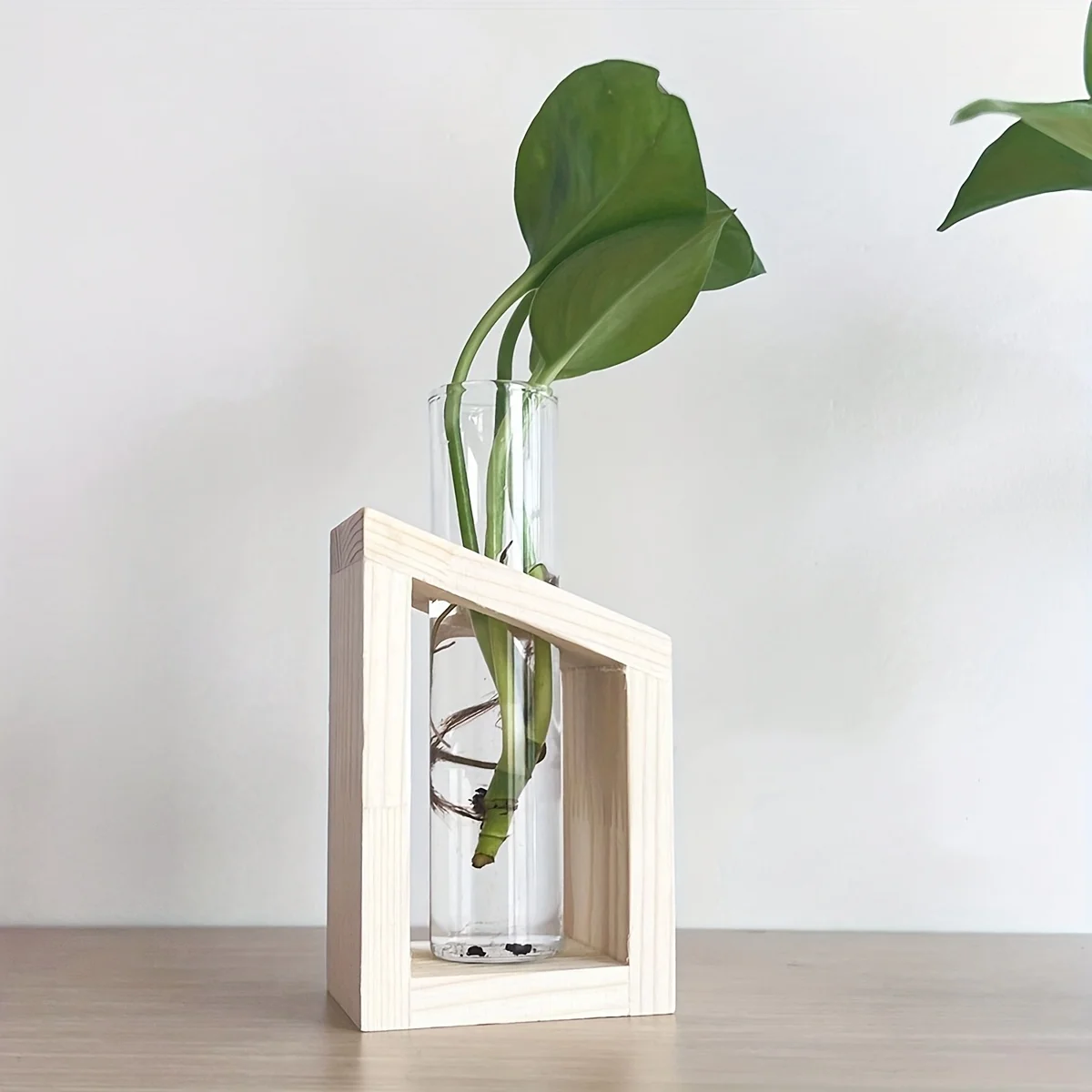 Test Tube Glass Vase Plant Pro - Propagation Station Vase recensione e prezzo