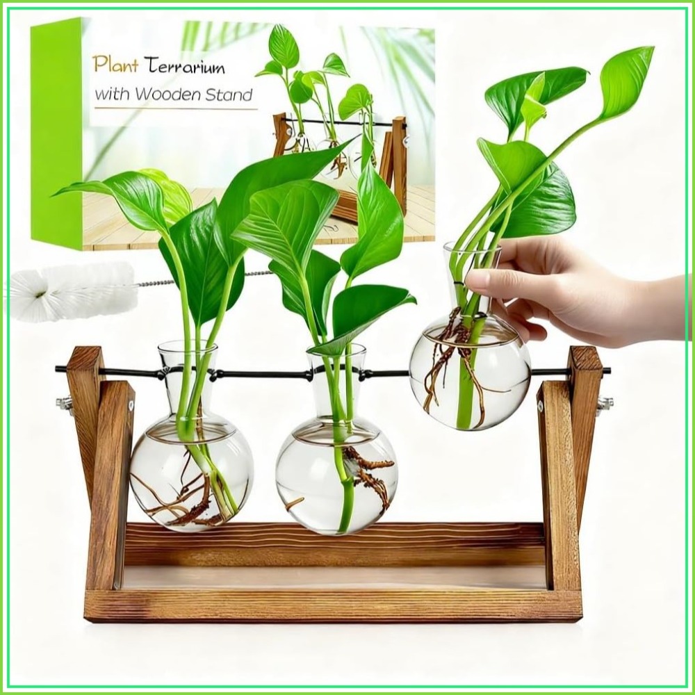 Plant Propagation Station with - Propagation Station Vase recensione e prezzo
