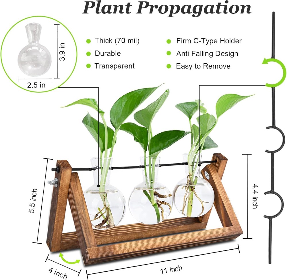 Plant Propagation Station with - Propagation Station Vase recensione e prezzo