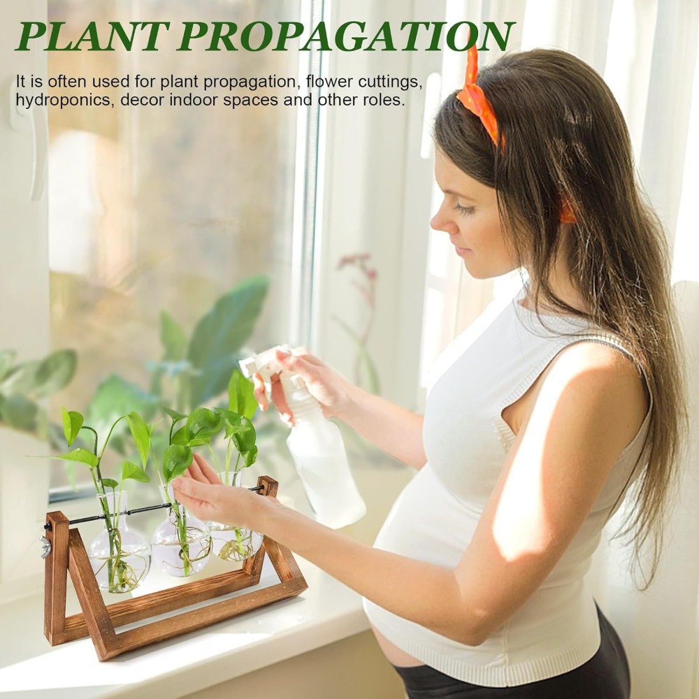 Plant Propagation Station with - Propagation Station Vase recensione e prezzo