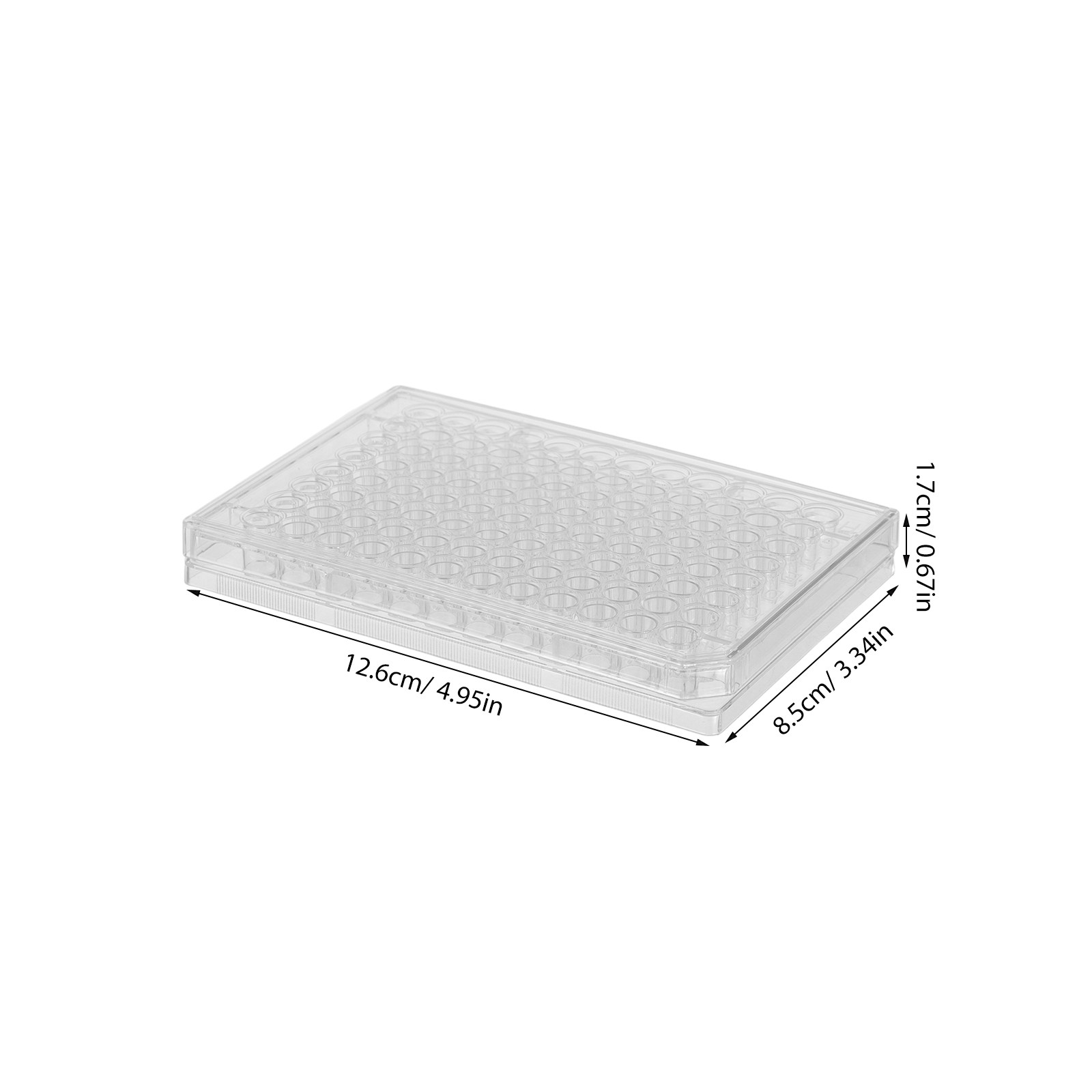 10Pcs Cell Culture Plates Tran - Agar Tissue Culture recensione e prezzo