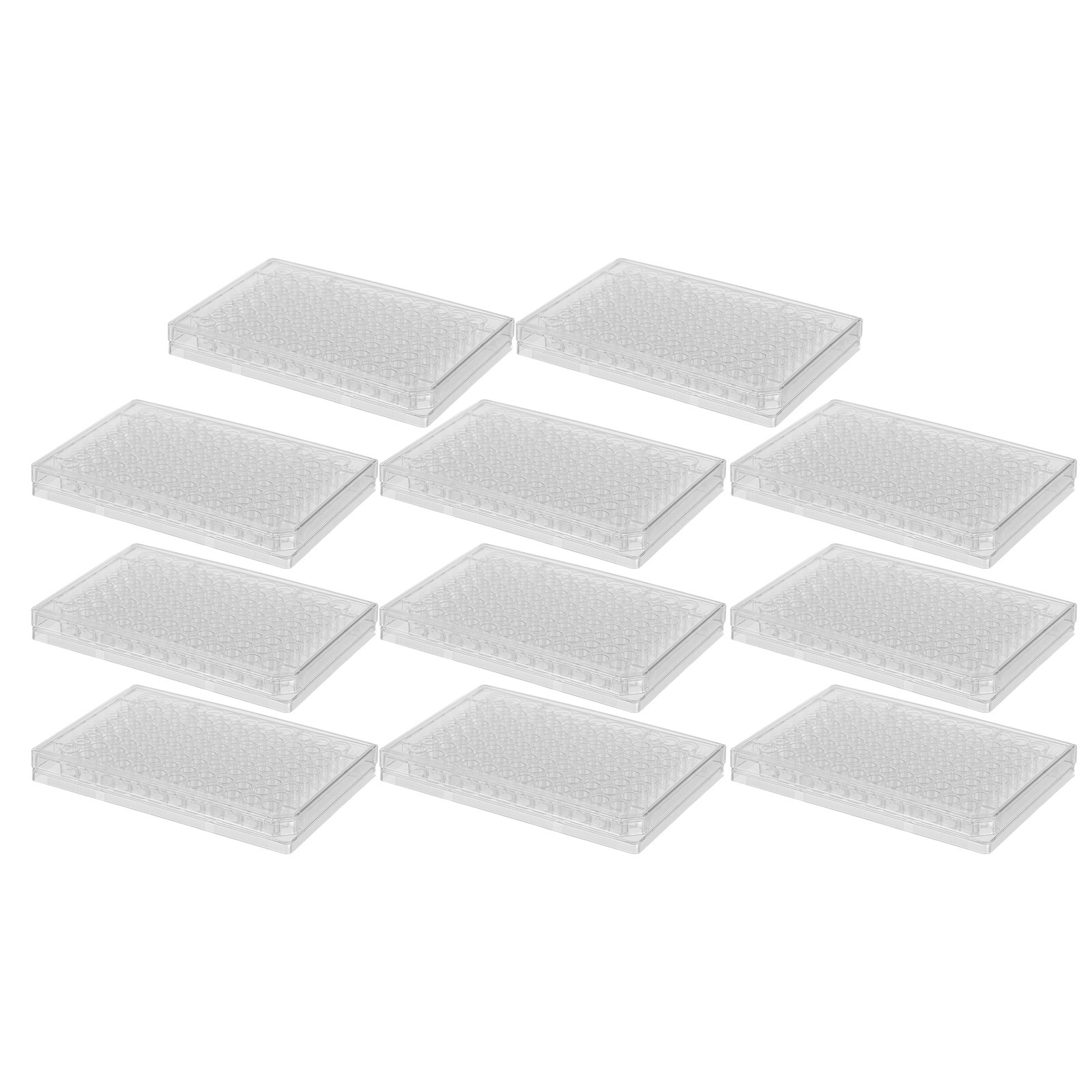 10Pcs Cell Culture Plates Tran - Agar Tissue Culture recensione e prezzo