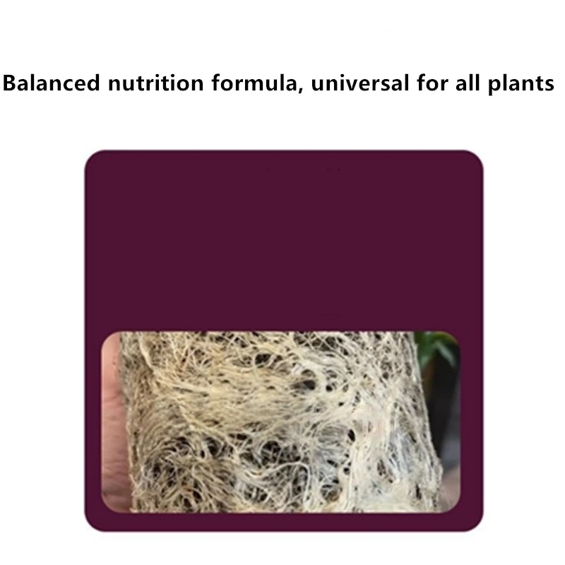 2bags Rooting Hormone Powder U - Rooting Hormone Powder recensione e prezzo