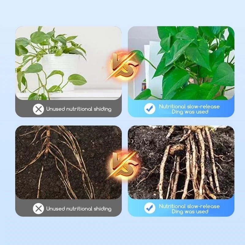 500g High-strength Rooting Hor - Rooting Hormone Powder recensione e prezzo