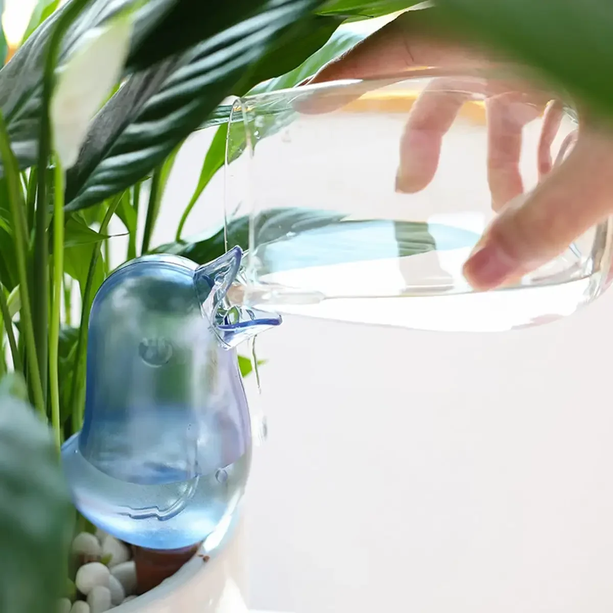 High quality automatic flower  - Self Watering Insert recensione e prezzo