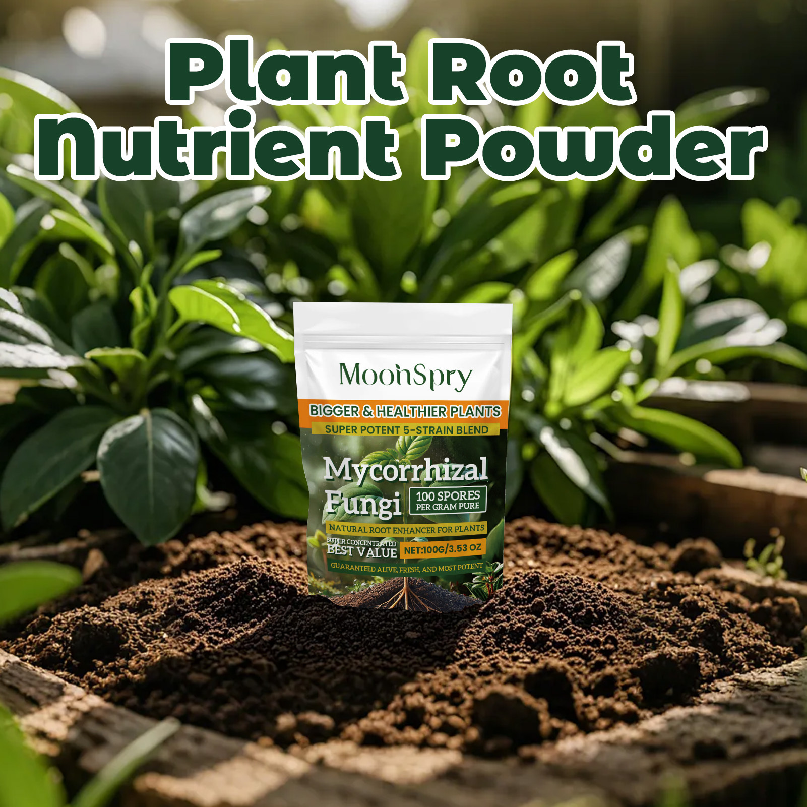 3Pack Root Stimulator Powder f - Rooting Hormone Powder recensione e prezzo