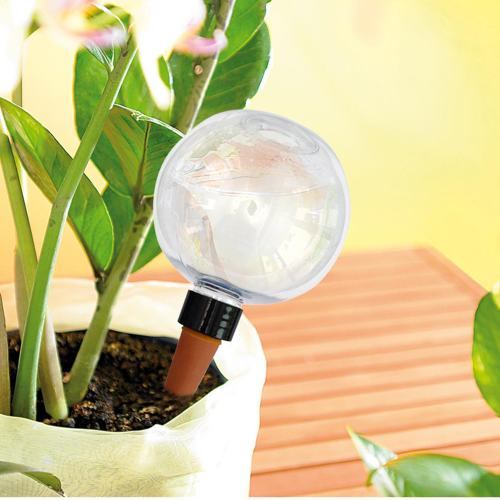 500ml Automatic Plant Watering - Self Watering Insert recensione e prezzo