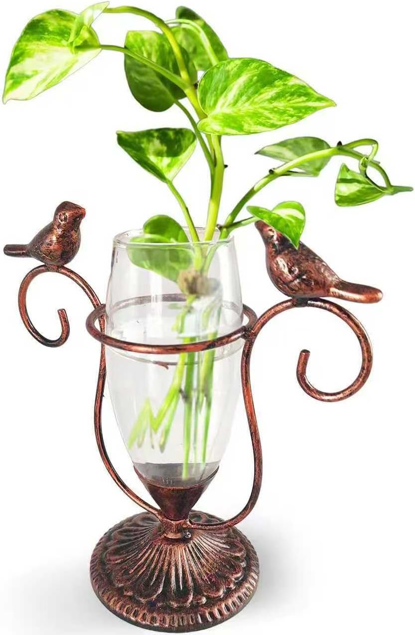 2 Vintage Copper Bird Plant Pr - Propagation Station Vase recensione e prezzo