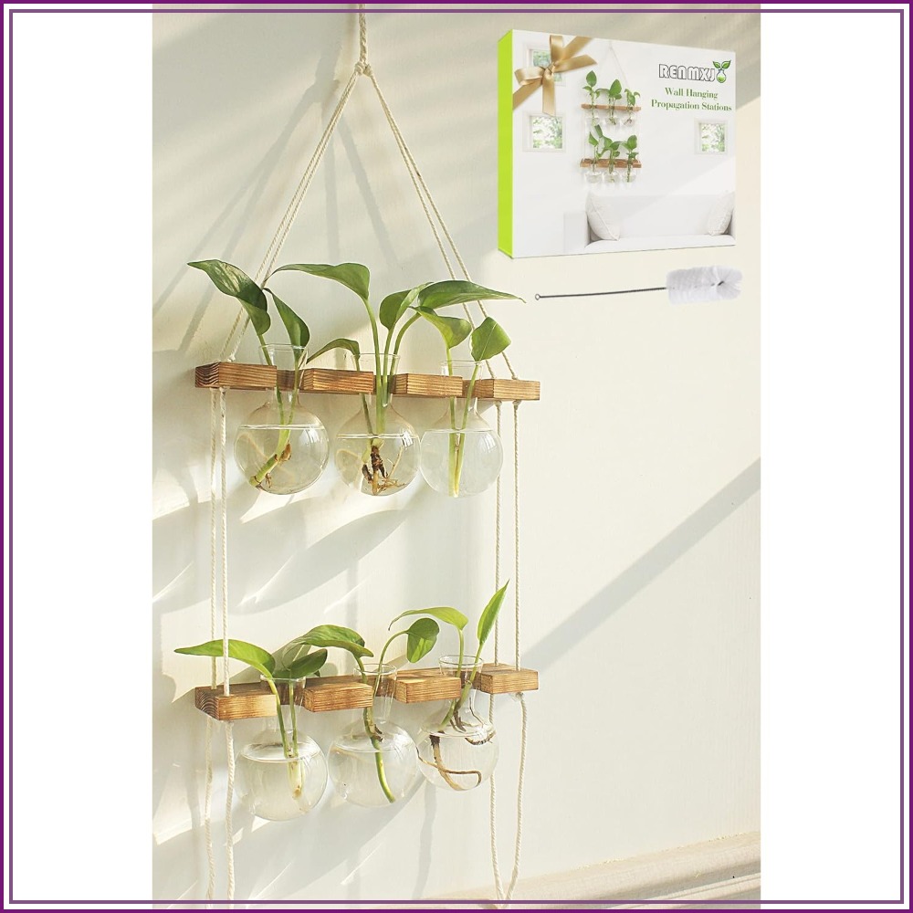 Wall Hanging Plant Propagation - Propagation Station Vase recensione e prezzo