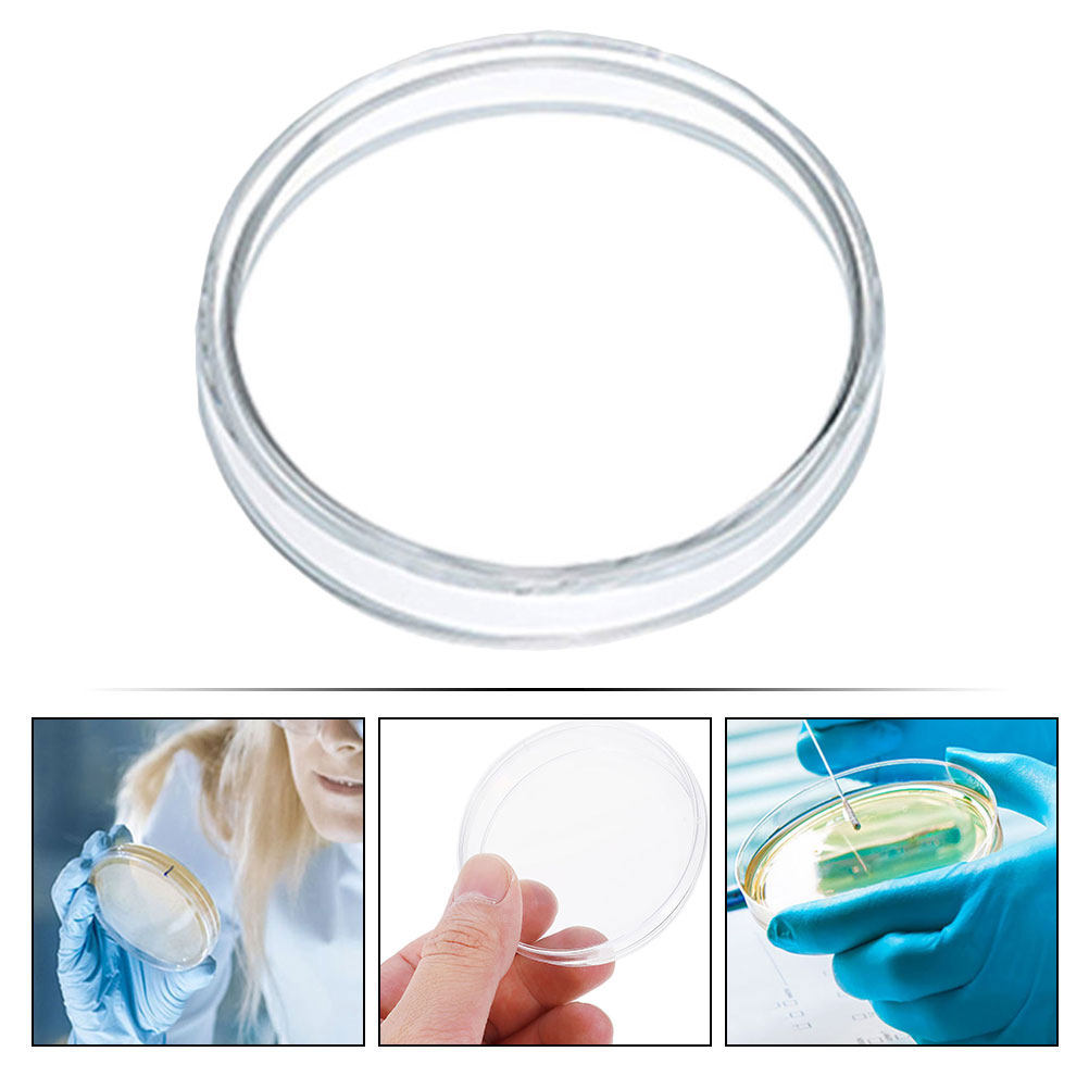 10Pcs Plastic Petri Dishes Tra - Agar Tissue Culture recensione e prezzo