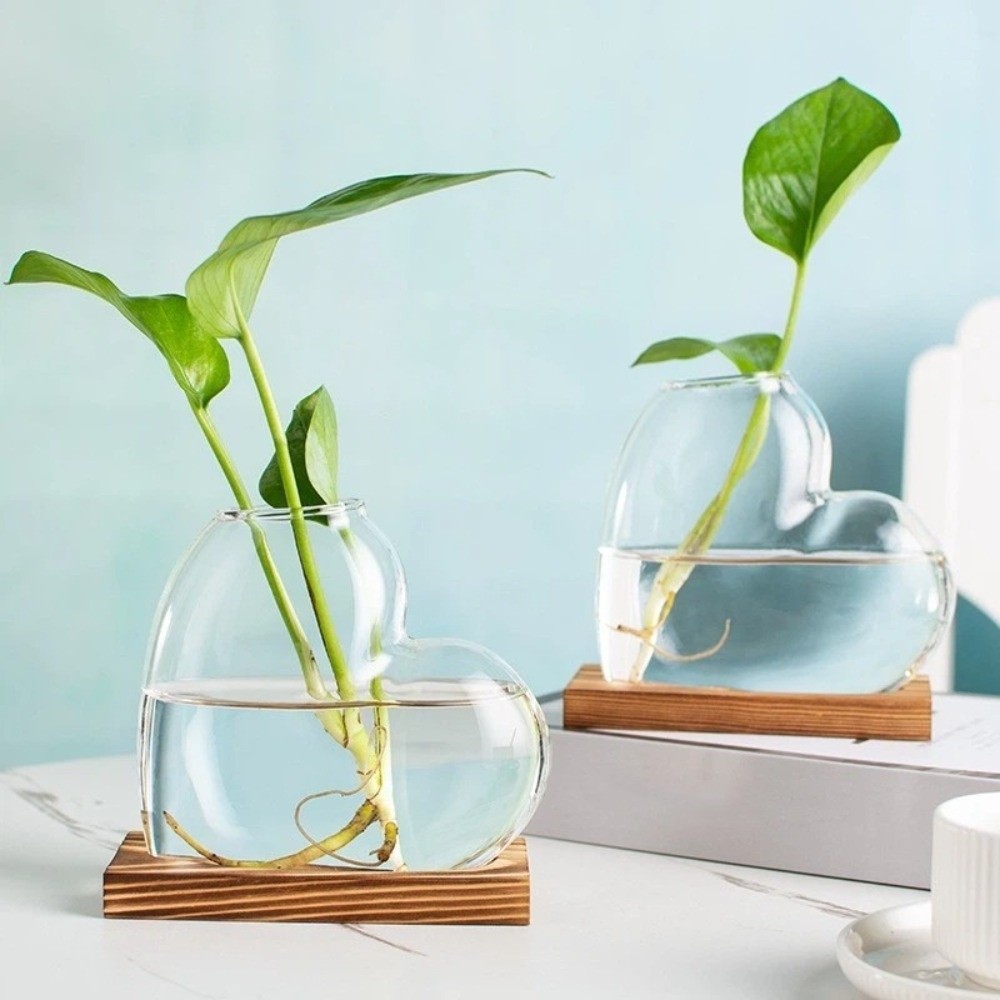 Transparent Hydroponic Glass V - Propagation Station Vase recensione e prezzo