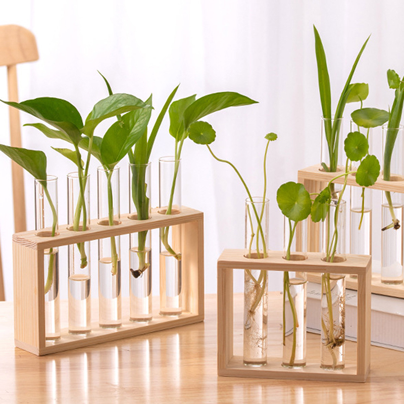 Hydroponic Plants Container wi - Propagation Station Vase recensione e prezzo