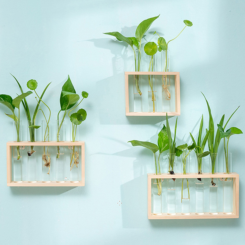Hydroponic Plants Container wi - Propagation Station Vase recensione e prezzo