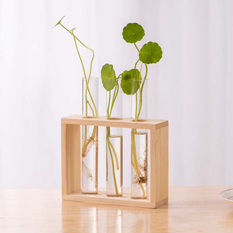Hydroponic Plants Container wi - Propagation Station Vase recensione e prezzo