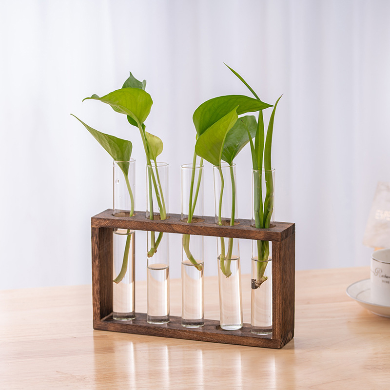 Hydroponic Plants Container wi - Propagation Station Vase recensione e prezzo