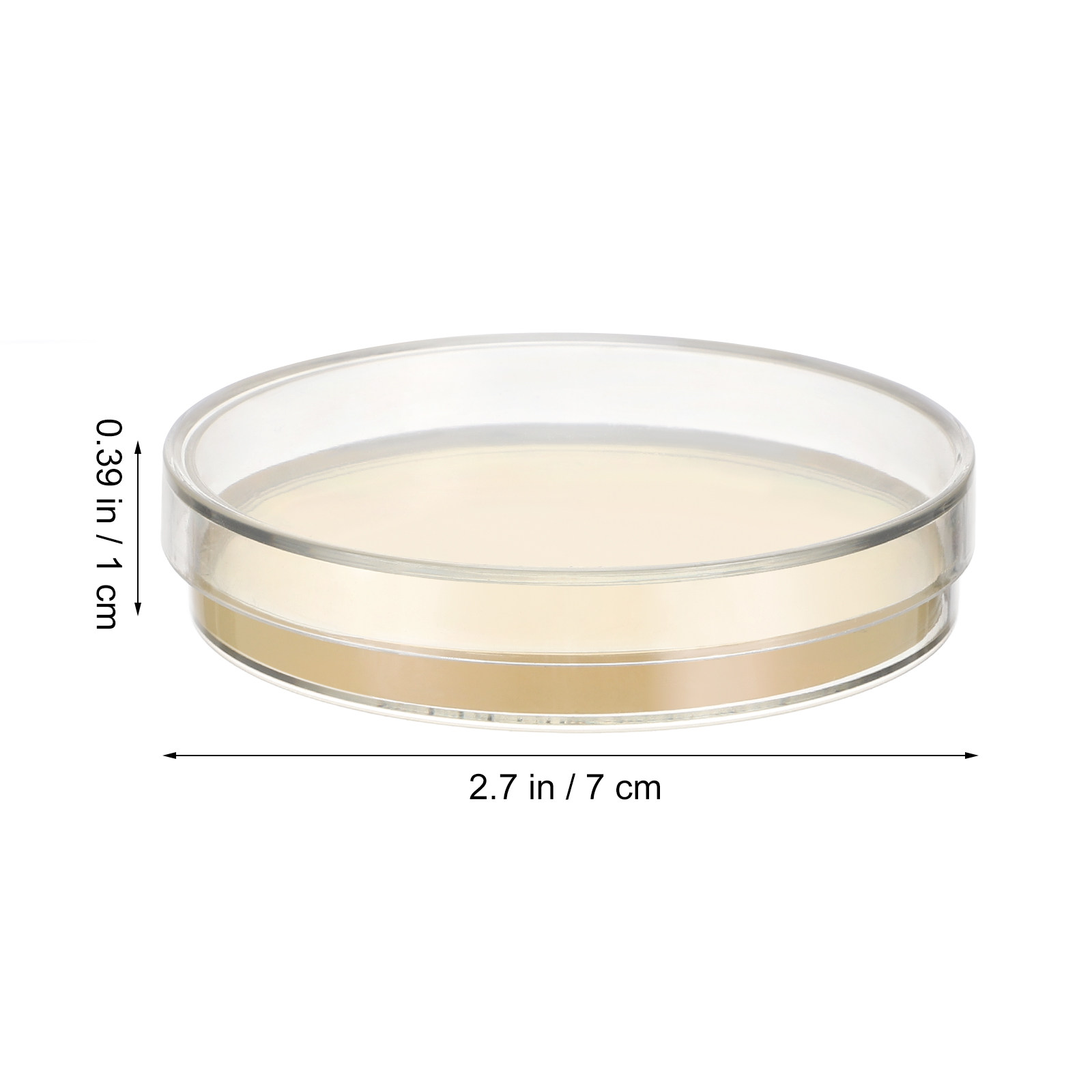 10pcs Pre-filled Agar Plates P - Agar Tissue Culture recensione e prezzo