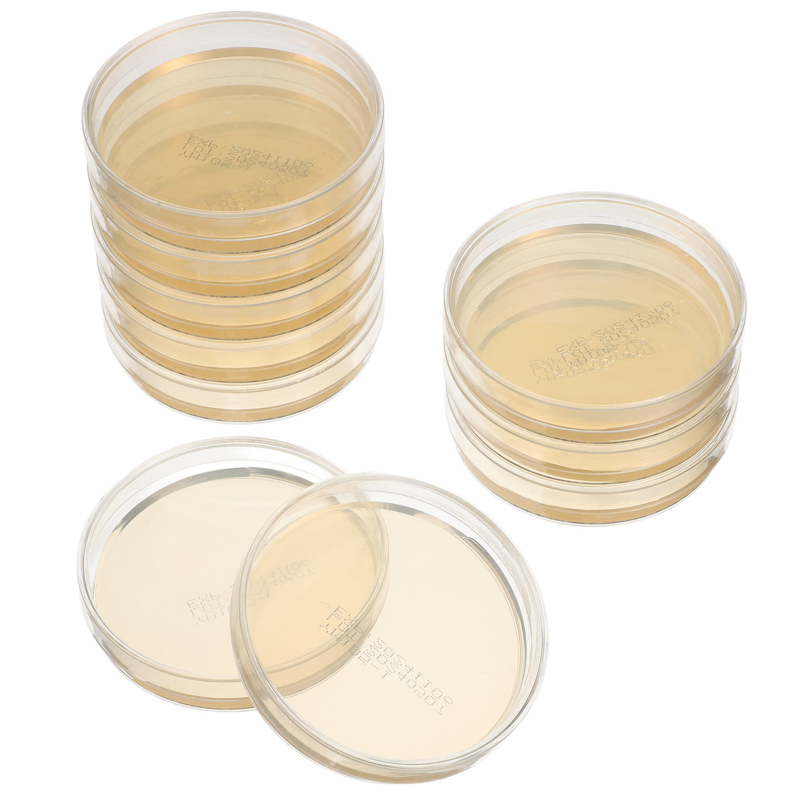 10pcs Pre-filled Agar Plates P - Agar Tissue Culture recensione e prezzo