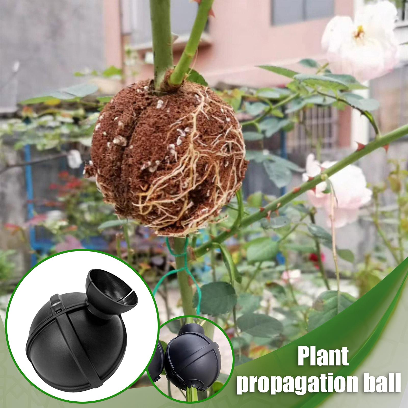 Garden Orchard Plants Grafting - Rooting Gel Clone recensione e prezzo