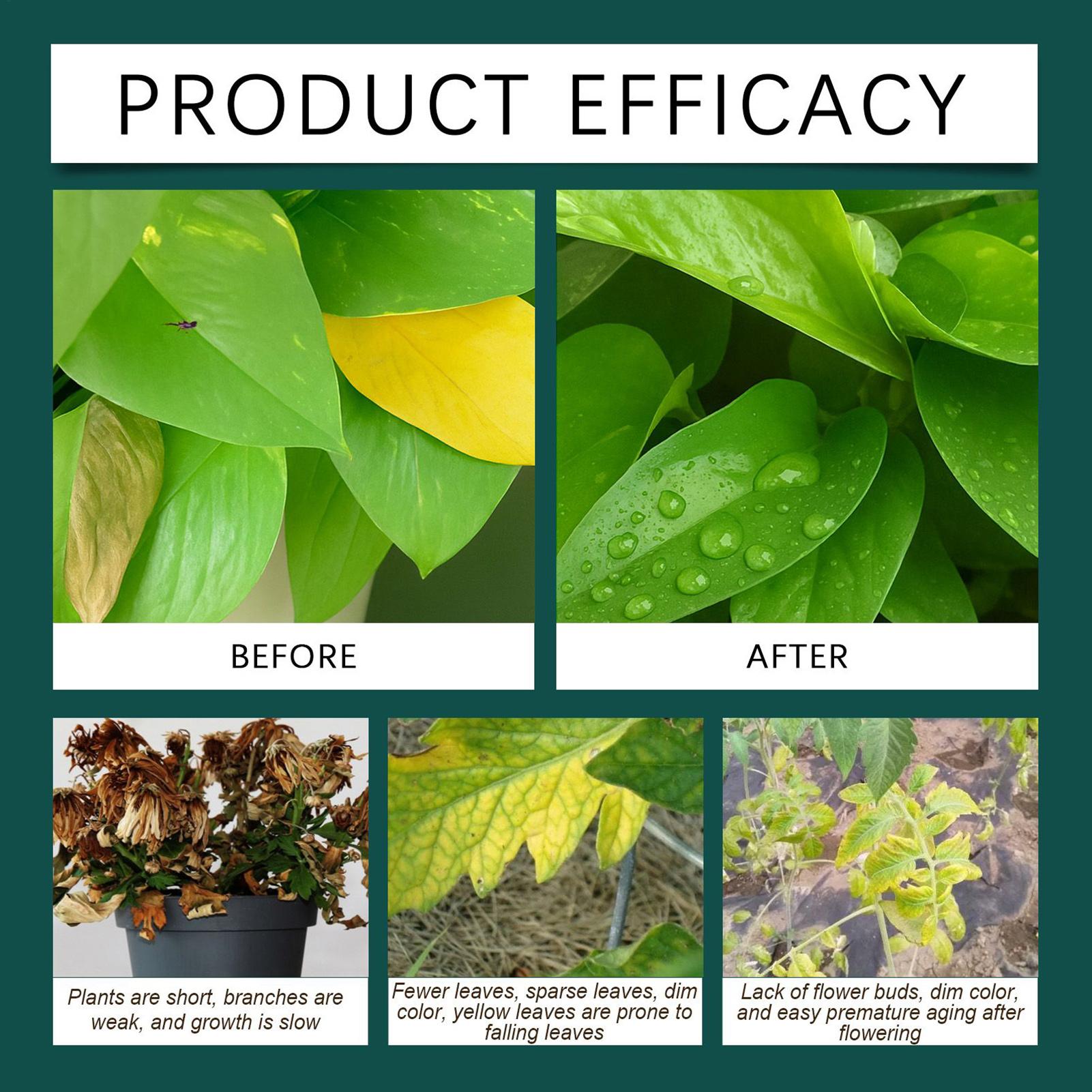 100ml Plant Rooting Liquid Dro - Root Stimulator Liquid recensione e prezzo