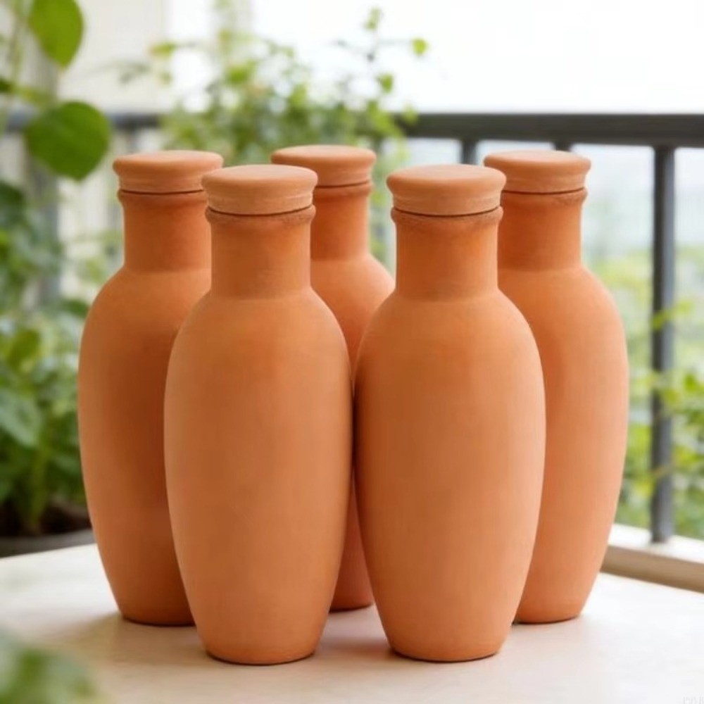 4Pcs Terracotta Material Autom - Self Watering Insert recensione e prezzo